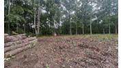 Land Clearing