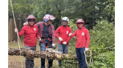 Tree Removal