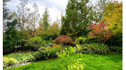 Irrigation Systems