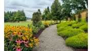 Landscape Design Build