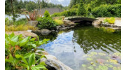 Water Features