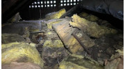 Insulation Removal