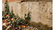 Foundation Repair