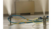 Mold Removal
