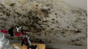 Mold Remediation