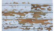 Lead Paint Removal