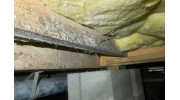 Mold Remediation & Removal