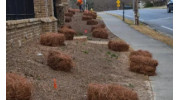 Seasonal Mulching