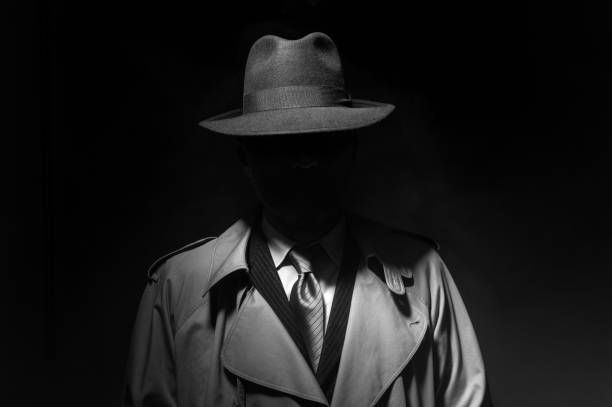 Private Investigator - Professional Investigation Services