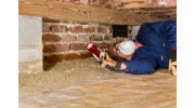 Termite Inspection