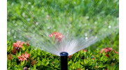 Irrigation