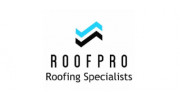 RoofPro Roofing