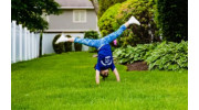 Lawn Fertilization