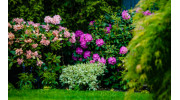 Lawn Treatment Packages