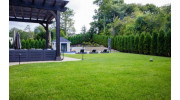 Lawn Weed Removal