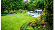 Tree and Shrub Care