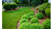 Plant Health Care