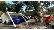 Storm Damage Tree Cleanup