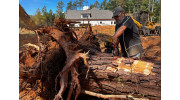 Tree Removal & Storm Emergency