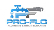 Pro-Flo Plumbing & Drain Cleaning