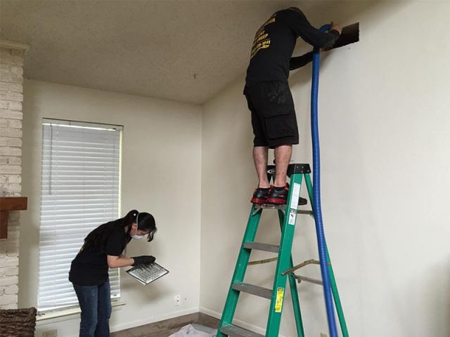 Professional cleaners for safer air