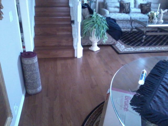 Professional Flooring and Wall covering installation.
