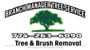 Branch Manager Tree Service LLC