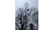 Pruning