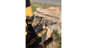 Tree Stump Removal
