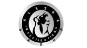 Alaska Investigations Group