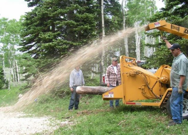 Chipping Brush