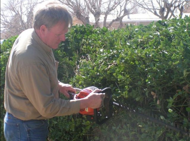 Trimming Hedges