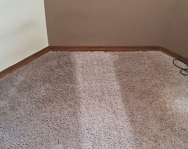 Green Carpet Cleaning Las Vegas Results