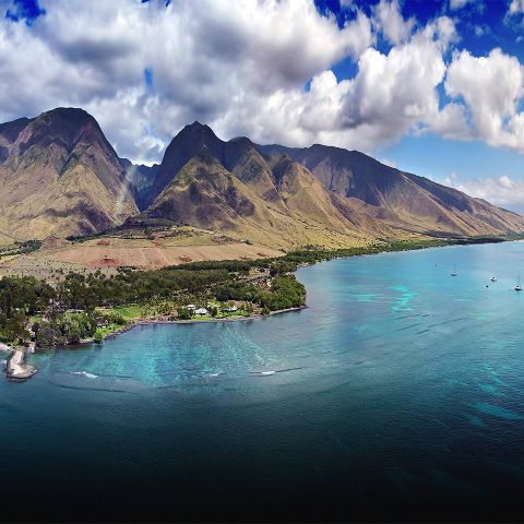 Represent Maui Companies