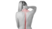 Chiropractic Services