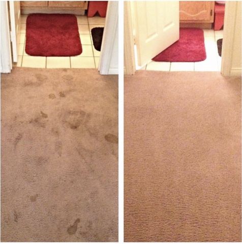 Carpet Cleaner Las Vegas