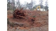 Land Clearing