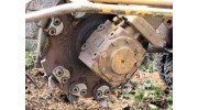 Stump Removal